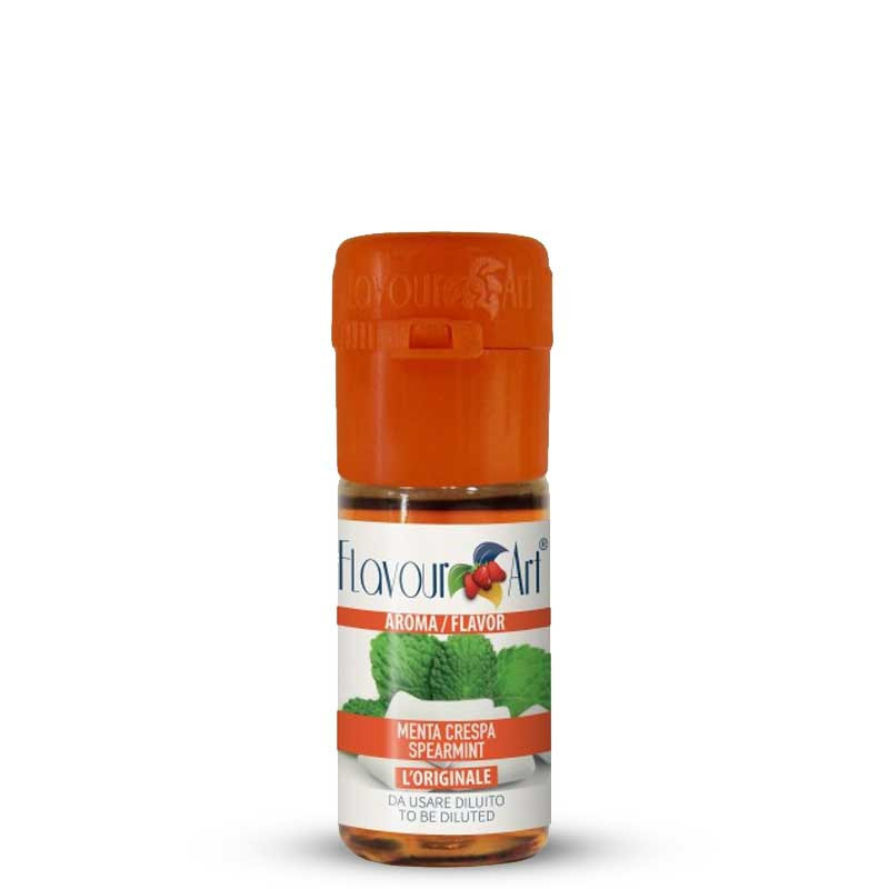 Concentré Menthe Verte (White Winter) 10ml - Flavour Art (1/1)