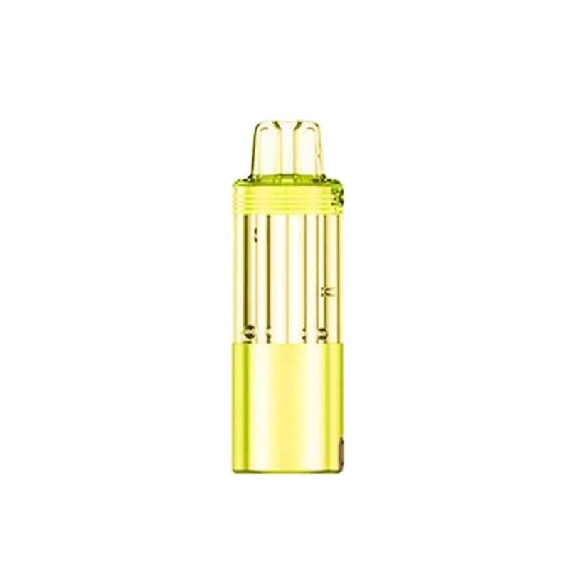 Cartouche vide Meteorite 100K - JNR (5/6)