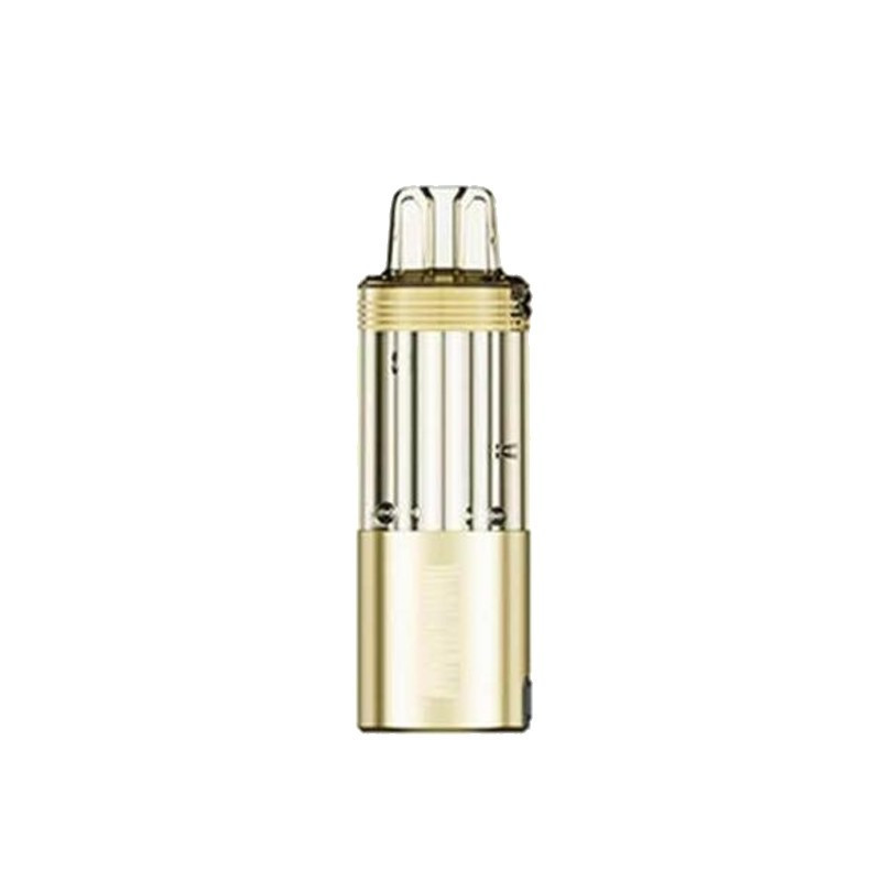 Cartouche vide Meteorite 100K - JNR (4/6)