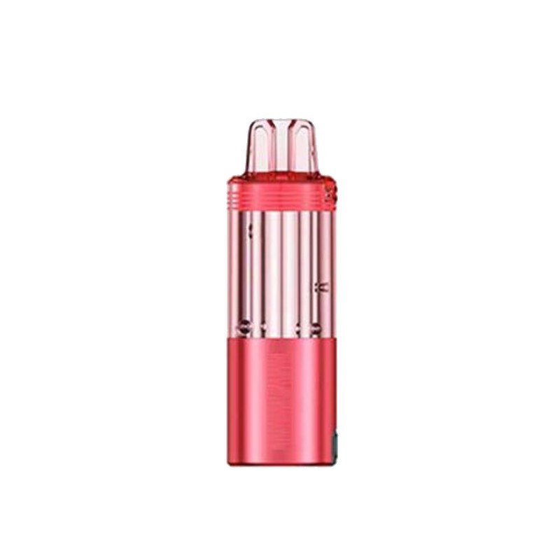 Cartouche vide Meteorite 100K - JNR (6/6)