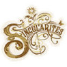 Singularités
