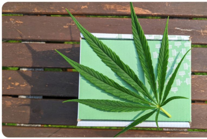 Quelle cigarette électronique choisir pour vapoter du CBD ? 